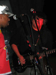 Blues Vipers